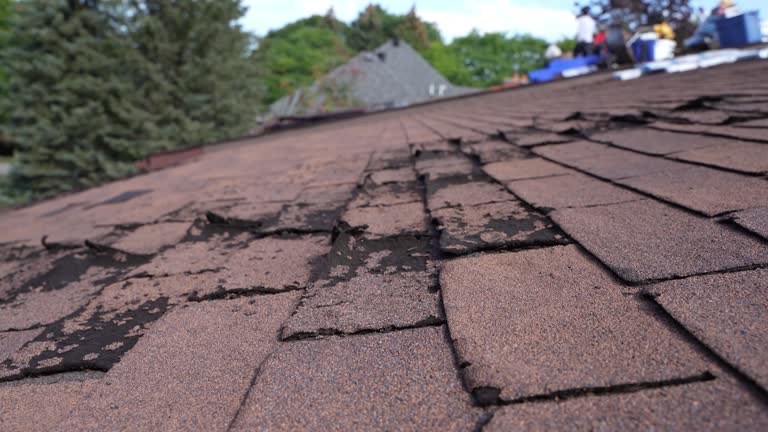  Bonnie Brae, IL Roofing Service Pros