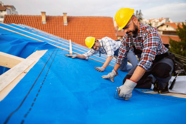 Asphalt Shingles Roofing in Bonnie Brae, IL