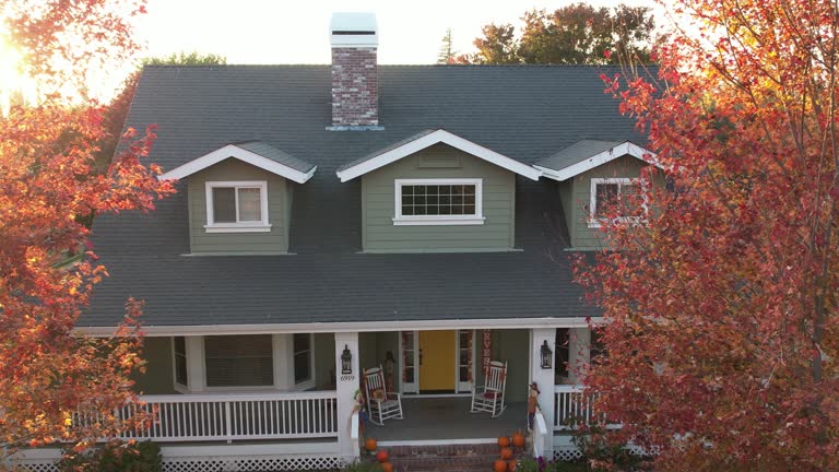 Best Steel Roofing  in Bonnie Brae, IL