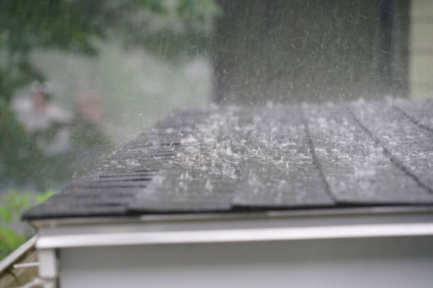 Best Rubber Roofing (EPDM, TPO)  in Bonnie Brae, IL